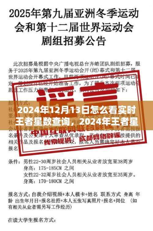 2024年王者星数实时查询指南，从初学者到进阶用户的查询步骤