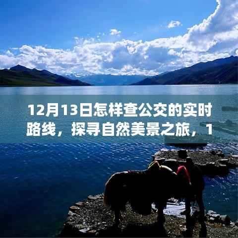 12月13日探寻自然美景之旅,公交实时路线开启心灵之旅的启程点