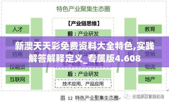 新澳天天彩免费资料大全特色,实践解答解释定义_专属版4.608