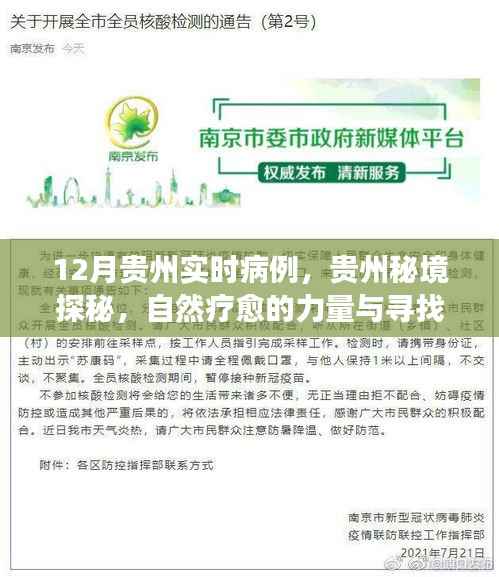 贵州秘境探秘,自然疗愈与寻找内心宁静之旅——实时病例追踪报道