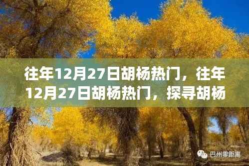 探寻胡杨魅力与热门事件背后的故事,历年12月27日胡杨之旅的热门揭秘