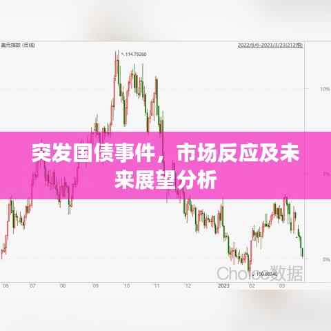 突发国债事件，市场反应及未来展望分析