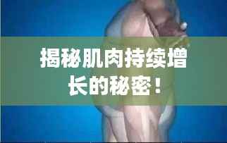揭秘肌肉持续增长的秘密！