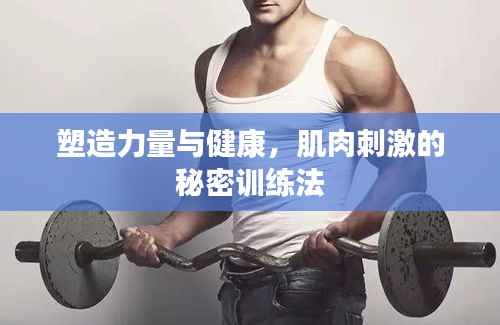塑造力量与健康，肌肉刺激的秘密训练法