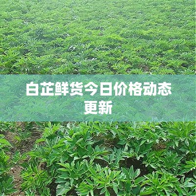 粗衣淡饭