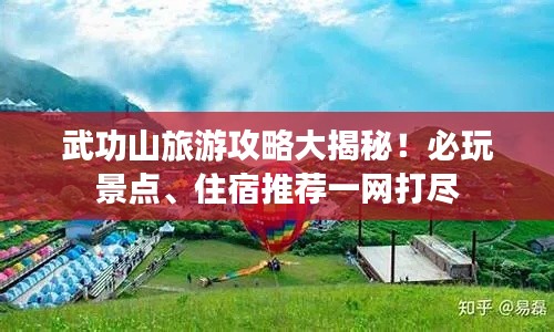 展翅欲飞