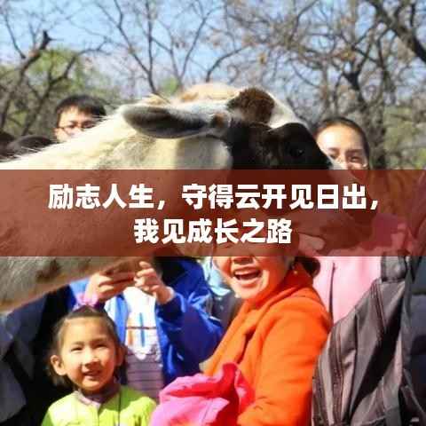 励志人生,守得云开见日出,我见成长之路