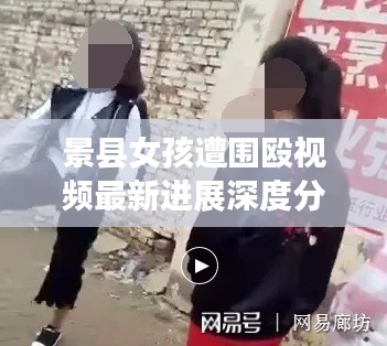 飞扬拨扈