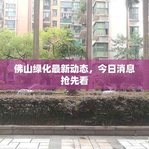 佛山绿化最新动态,今日消息抢先看