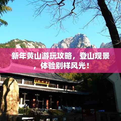 新年黄山游玩攻略,登山观景,体验别样风光!