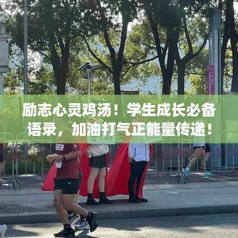 励志心灵鸡汤!学生成长必备语录,加油打气正能量传递!