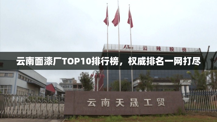云南面漆厂TOP10排行榜，权威排名一网打尽