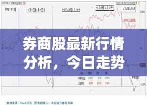 券商股最新行情分析,今日走势揭秘