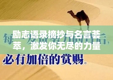 神清气朗