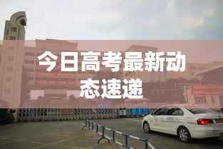 今日高考最新动态速递
