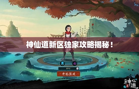 神仙道新区独家攻略揭秘！
