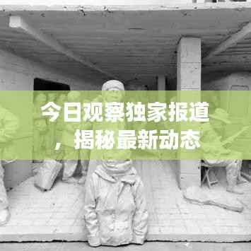 今日观察独家报道，揭秘最新动态