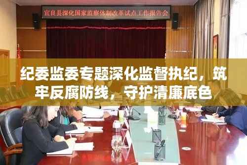 纪委监委专题深化监督执纪，筑牢反腐防线，守护清廉底色
