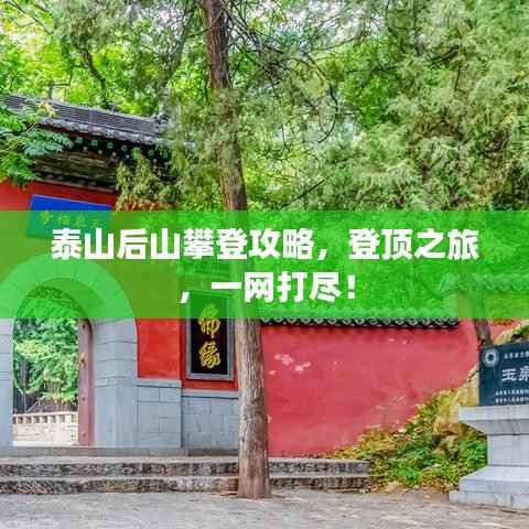 泰山后山攀登攻略，登顶之旅，一网打尽！