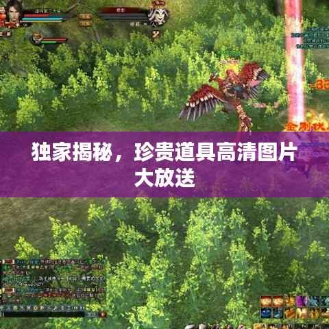 独家揭秘，珍贵道具高清图片大放送